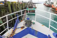 LNG carrier for sale
