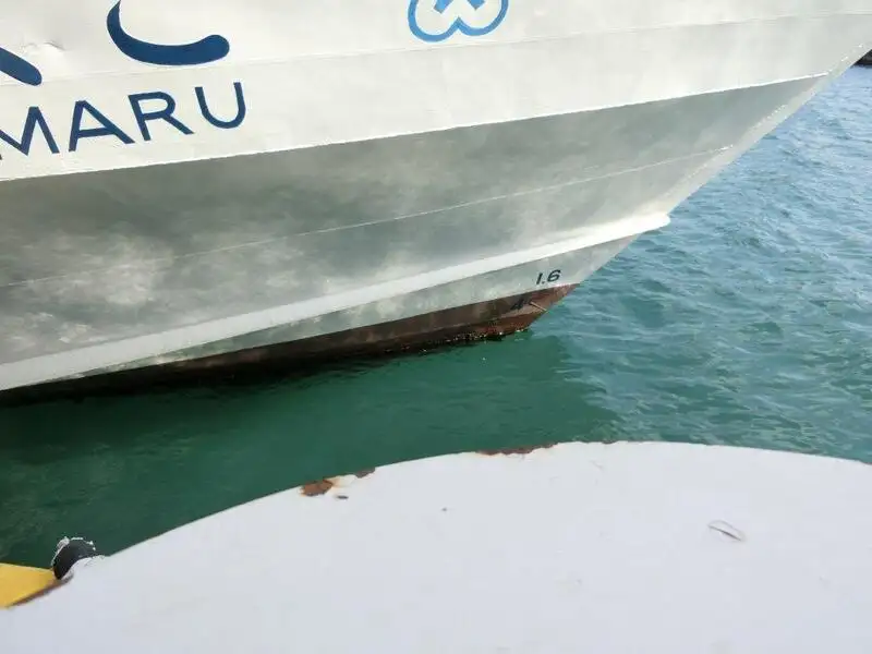 Cruise ship for sale