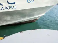 Cruise ship for sale