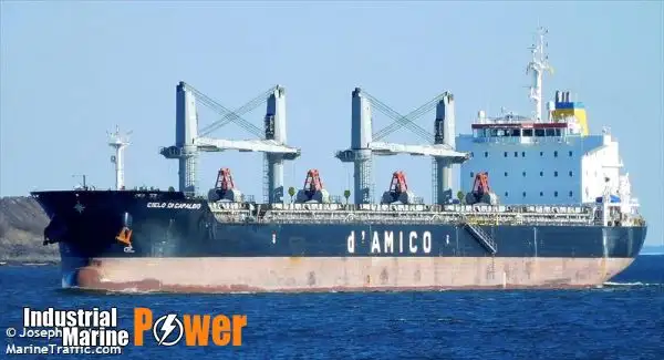 Bulk carrier for sale