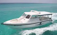Cruise ship for sale