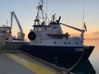 Bulk carrier for sale