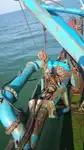 Dredger for sale