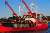 Workboats for sale