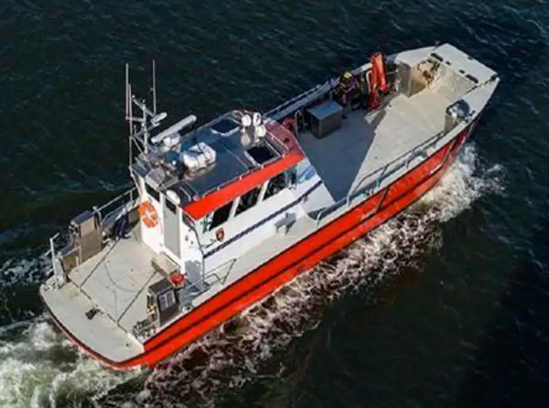 Catamaran for sale