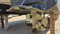 Catamaran for sale