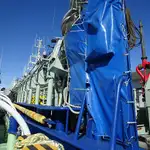 Purse seiner for sale