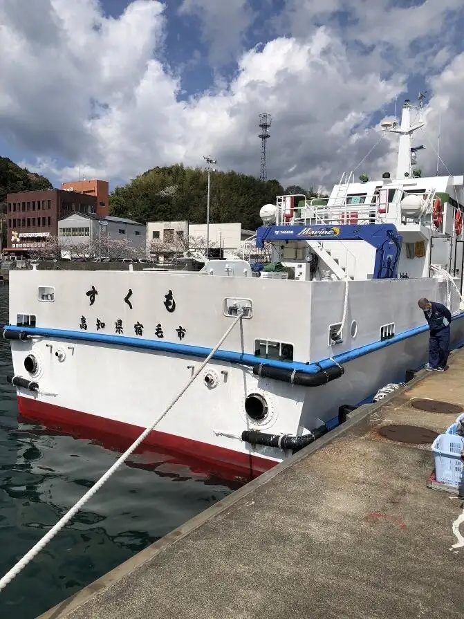 Bulk carrier for sale