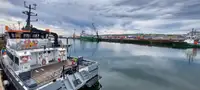 Catamaran for sale