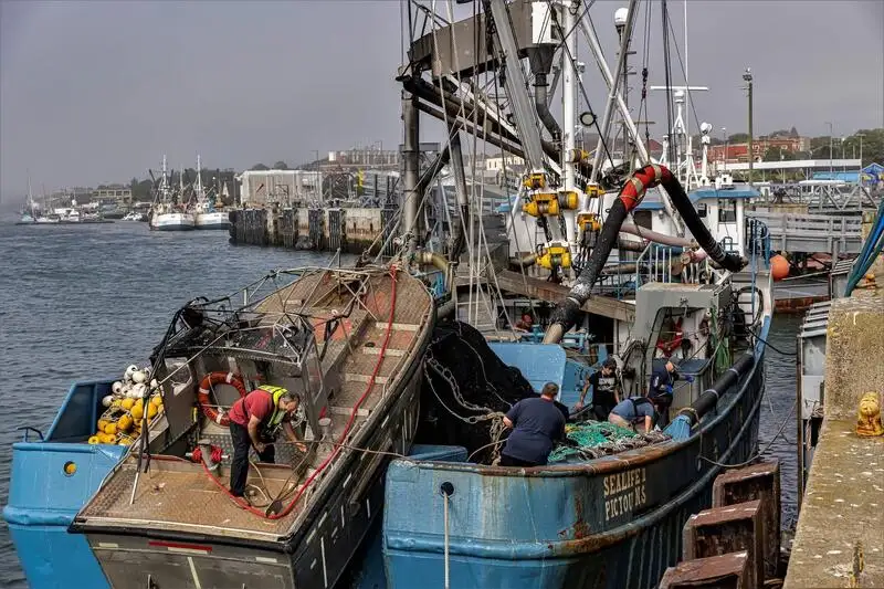 Purse seiner for sale
