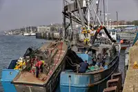 Purse seiner for sale