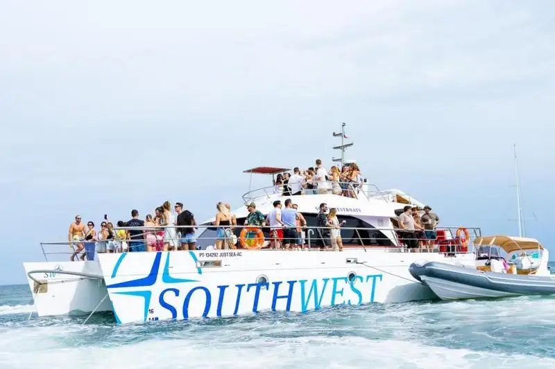 Catamaran for sale