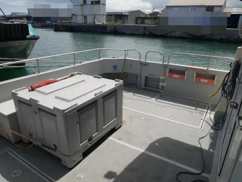 Catamaran for sale