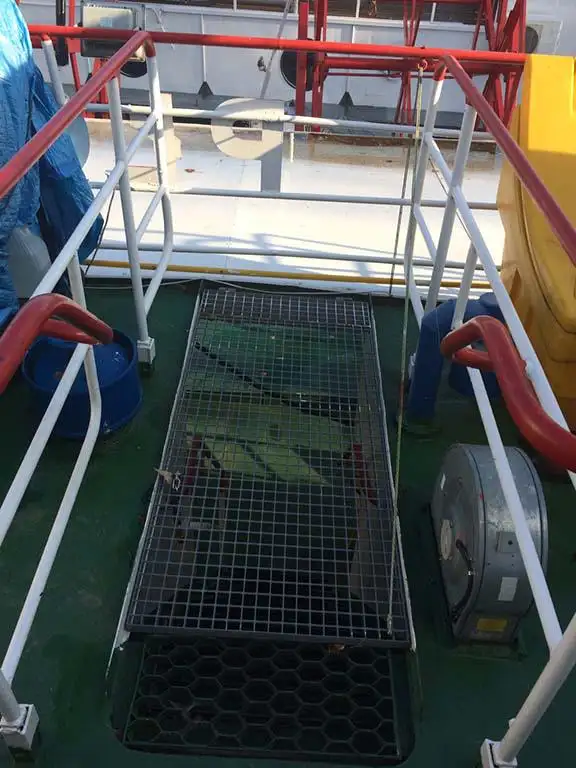 Container ship for sale