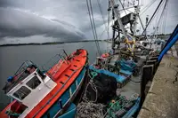 Purse seiner for sale