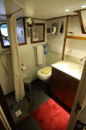 Cruise ship for sale