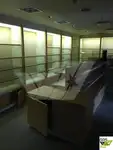 Cruise ship for sale