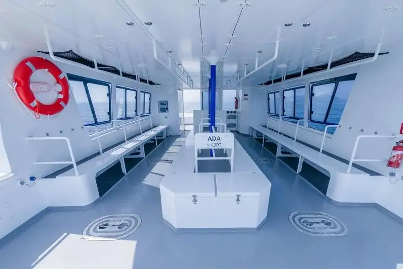 Catamaran for sale