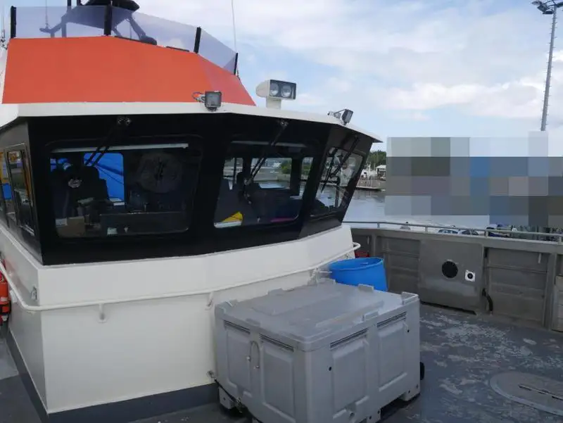 Catamaran for sale