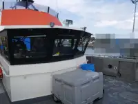 Catamaran for sale