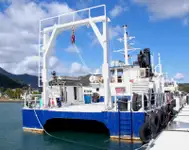 Catamaran for sale