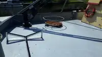 Trawler for sale