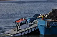 Purse seiner for sale