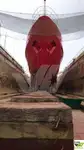 Survey vessel for sale