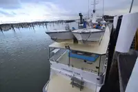 Cutter for sale