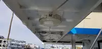 Catamaran for sale