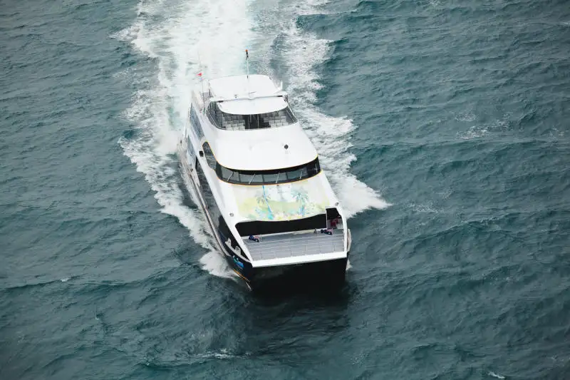 Catamaran for sale