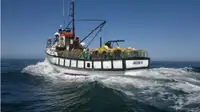 Trawler for sale
