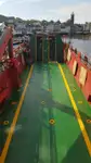 Ro-Ro ship for sale