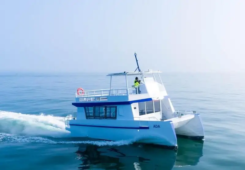 Catamaran for sale