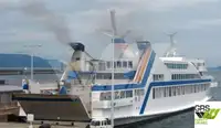 Ro-Ro ship for sale