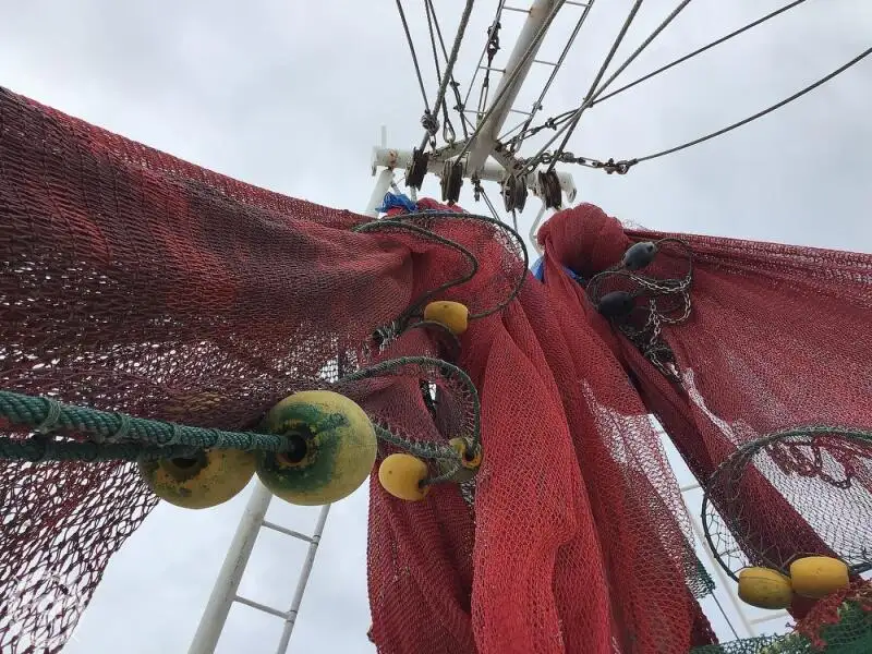 Trawler for sale