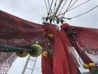 Trawler for sale