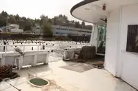 Ferry vessel for sale