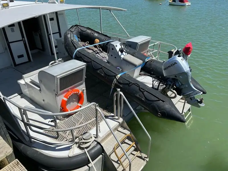 Catamaran for sale