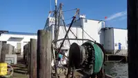 Trawler for sale