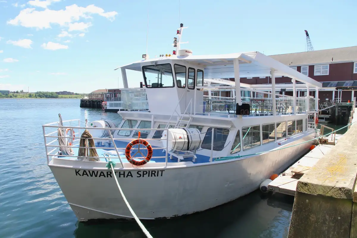 Cruise ship for sale