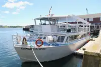 Cruise ship for sale
