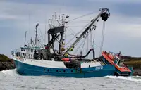Purse seiner for sale