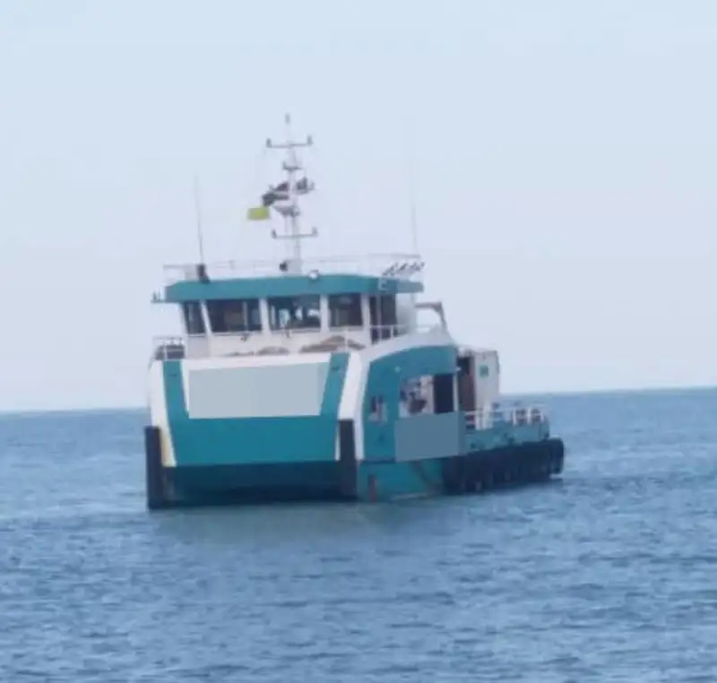 Catamaran for sale