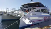 Cruise ship for sale