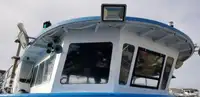 Catamaran for sale