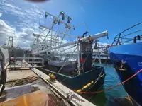 Trawler for sale