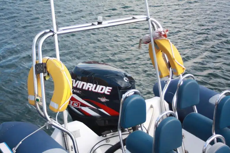 Rigid inflatable boat for sale