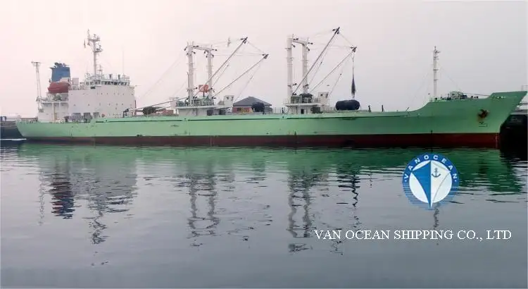 Reefer ship for sale