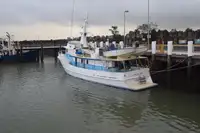 Cutter for sale